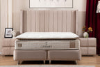 Lit Coffre TOKYO Velours Beige